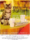 猫カ