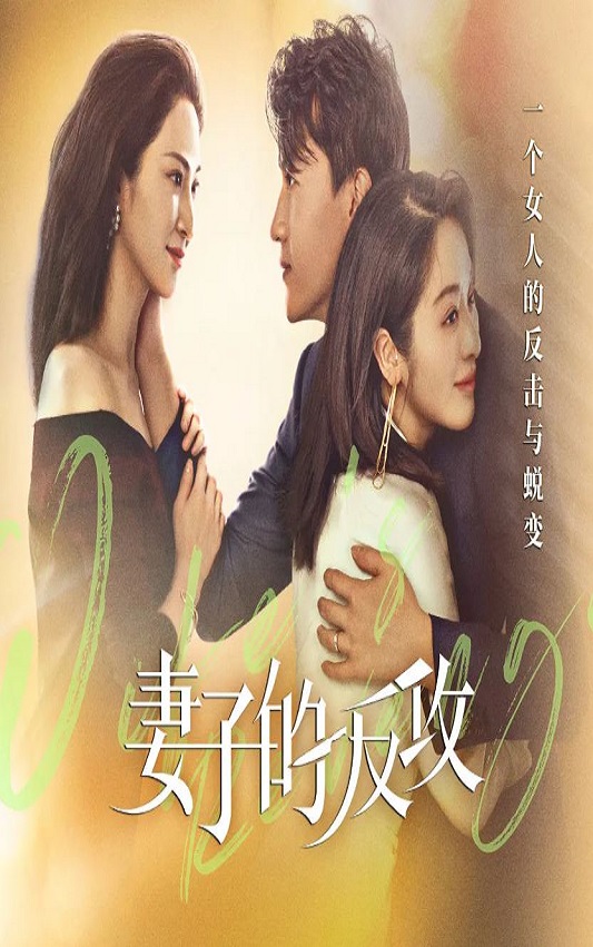 妻子的反攻