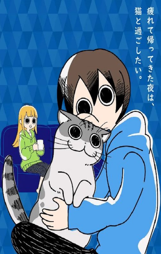 关于养猫我一直是新手