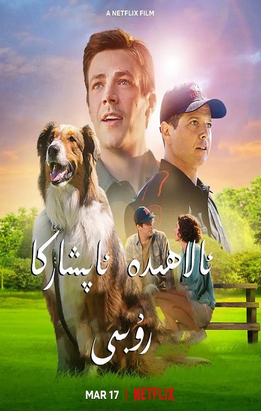 义犬救主