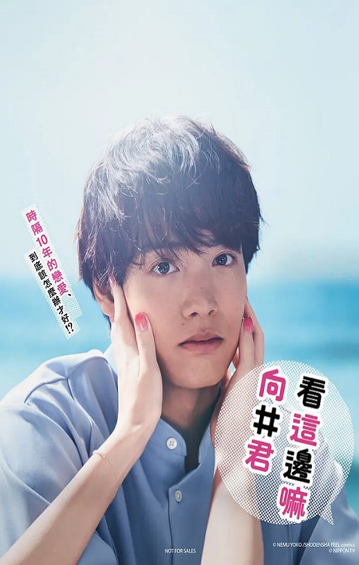 往这边看 向井君