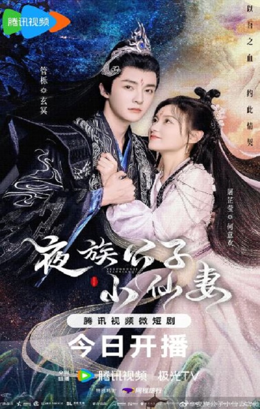 夜族公子小仙妻