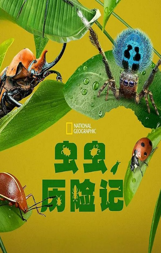 虫虫历险记