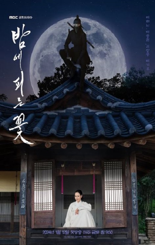 夜晚开的花