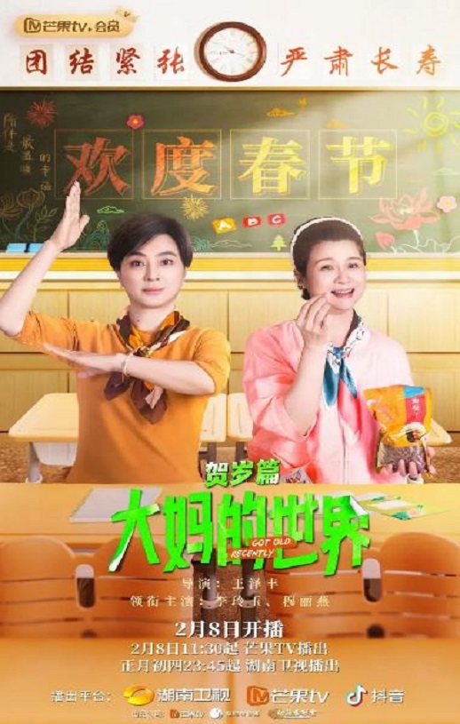 大妈的世界 贺岁篇