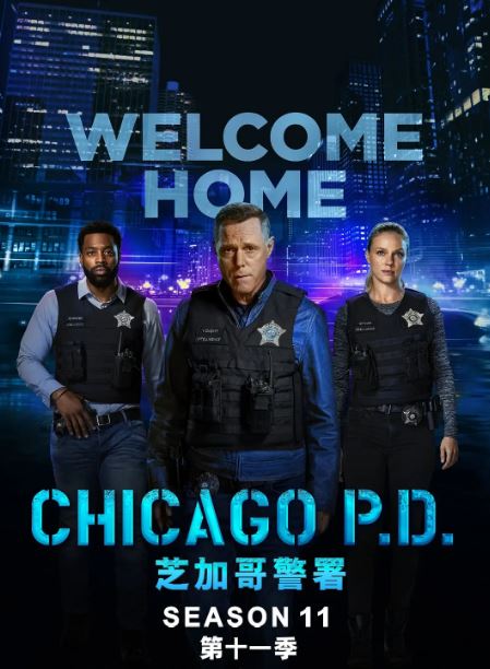 芝加哥警署 第十一季