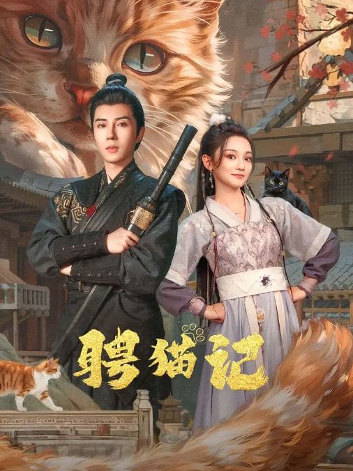 聘猫记