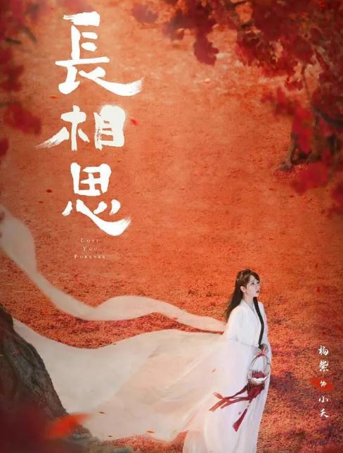 长相思第二季