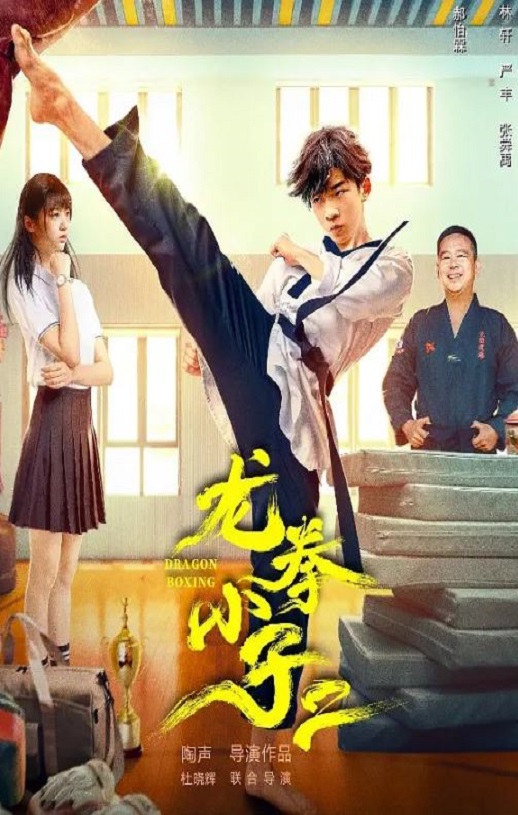 龙拳小子2