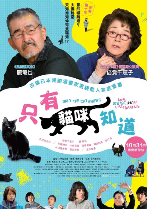 只有猫知道