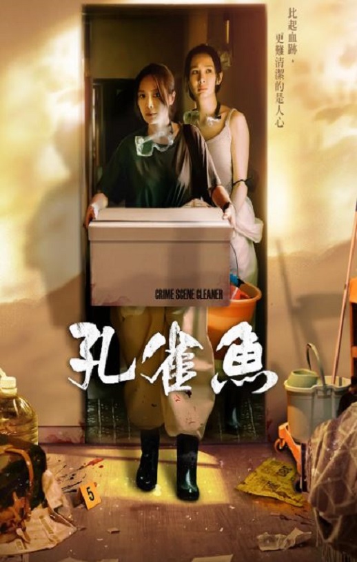 孔雀鱼