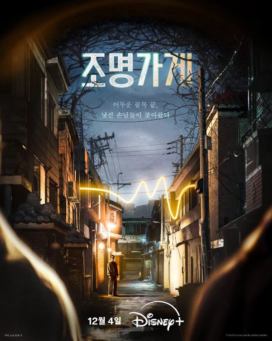 照明商店2024