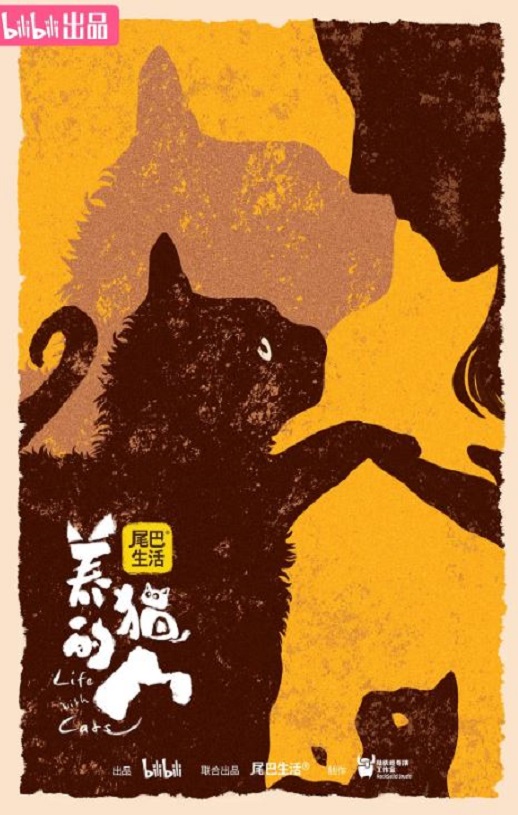 养猫的人