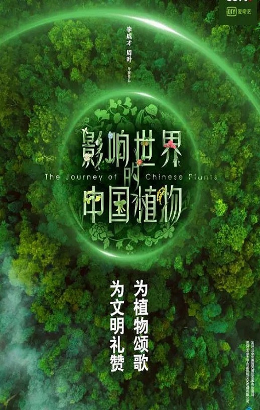 影响世界的中国植物