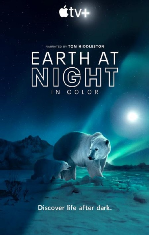 夜色中的地球 第二季