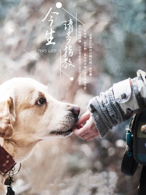 今生，请多指教