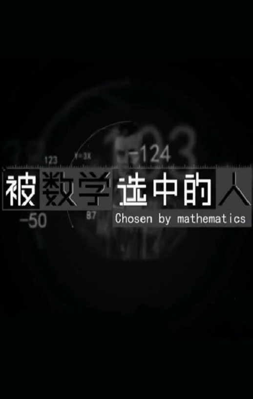 被数学选中的人