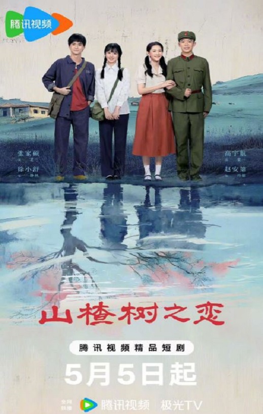 山楂树之恋