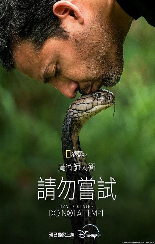 大卫·布雷恩：请勿尝试