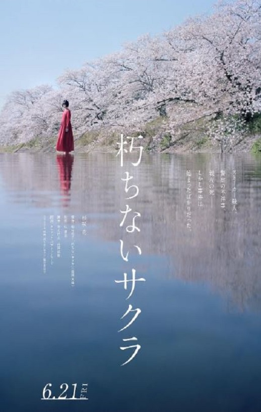 不朽的樱花