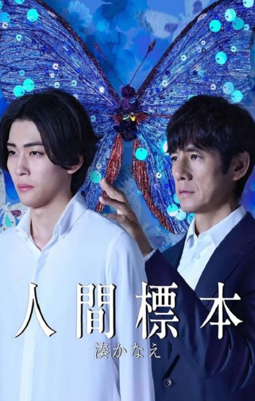 人类标本